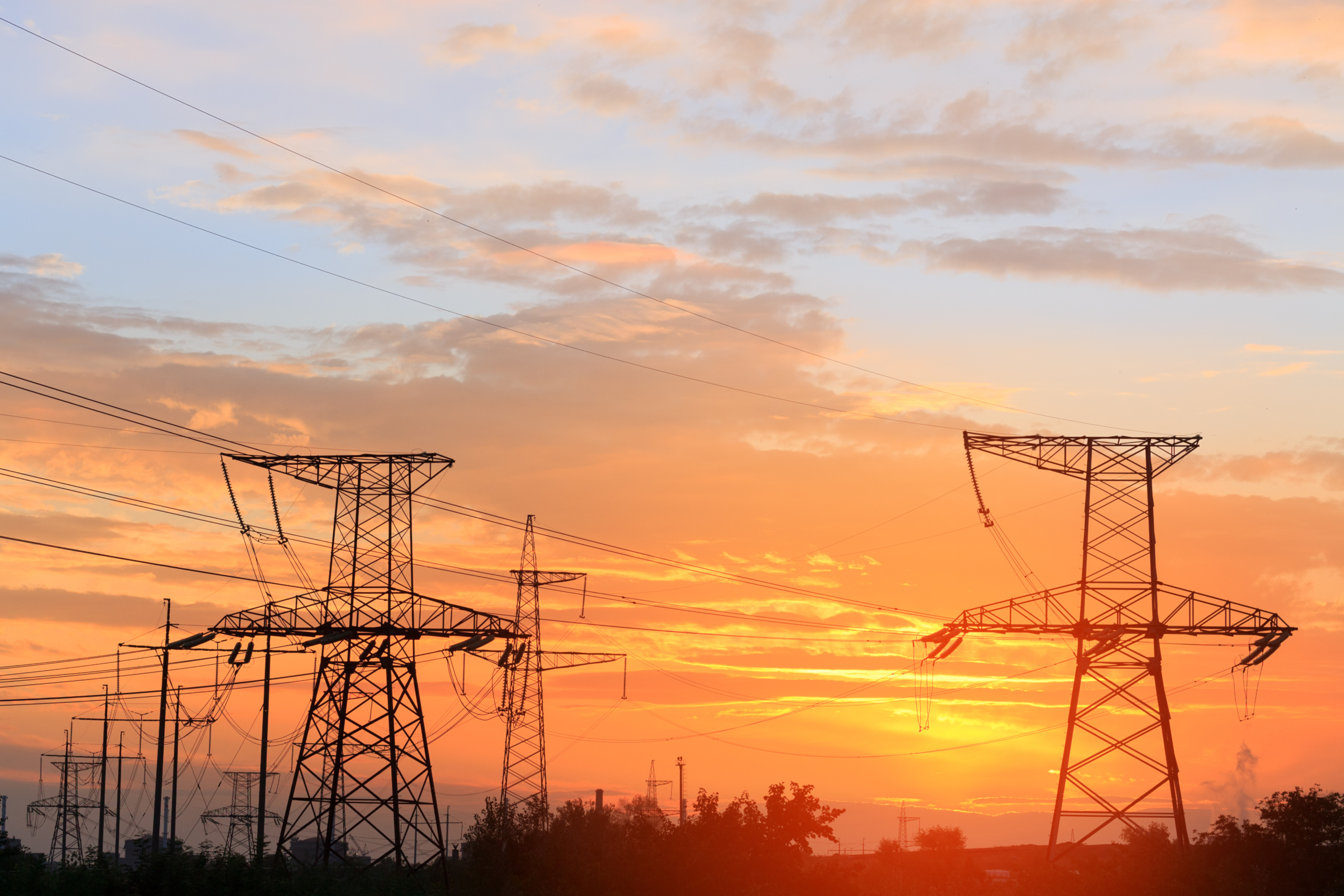 CER-laki kriittiset toimijat